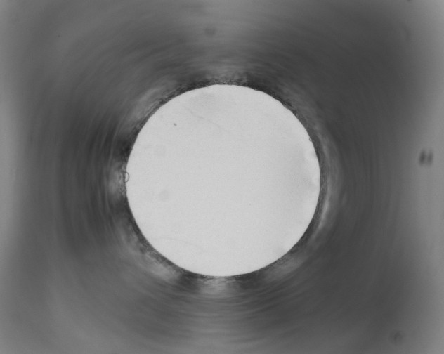 X0000114010432200911131208