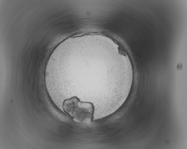 X0000114010433200911131208