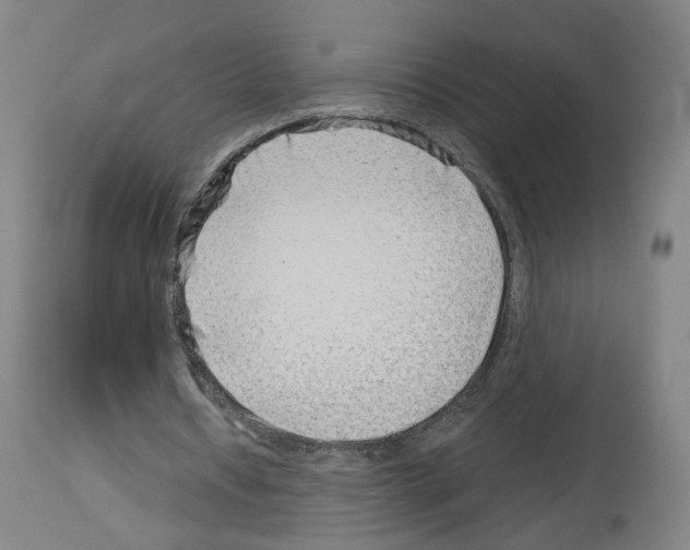X0000114010434200911131208