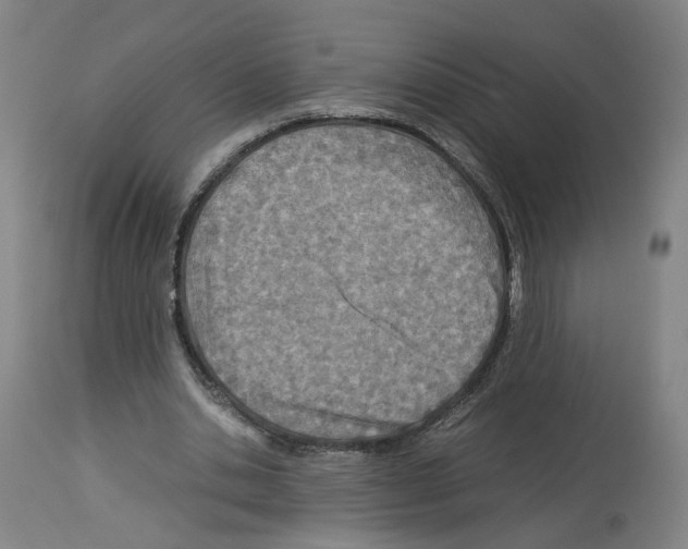 X0000114010438200911131208