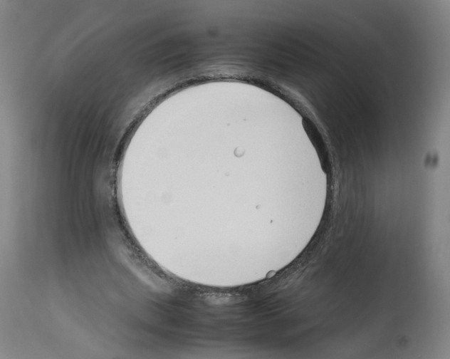 X0000114010439200911131208