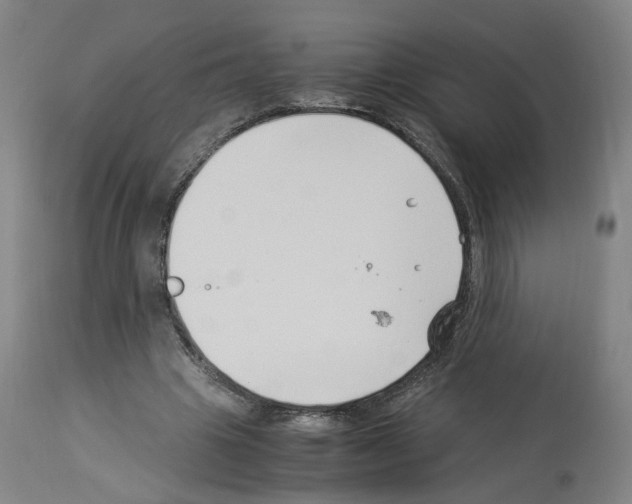 X0000114010441200911131208
