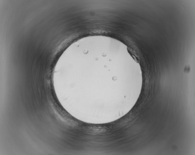X0000114010443200911131208