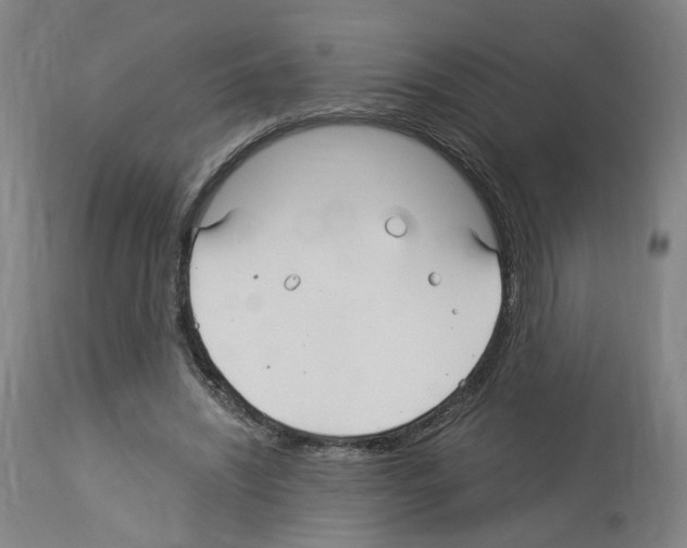 X0000114010444200911131208