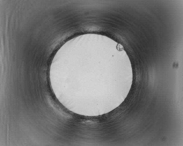 X0000114010447200911131208