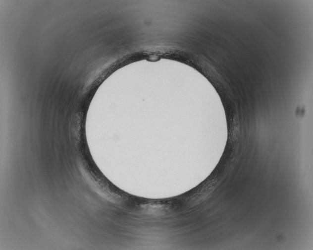 X0000114010448200911131208