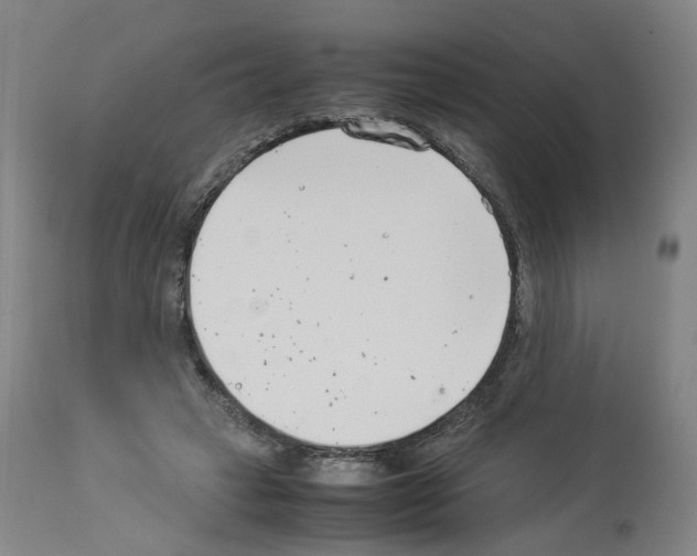 X0000114010449200911131208