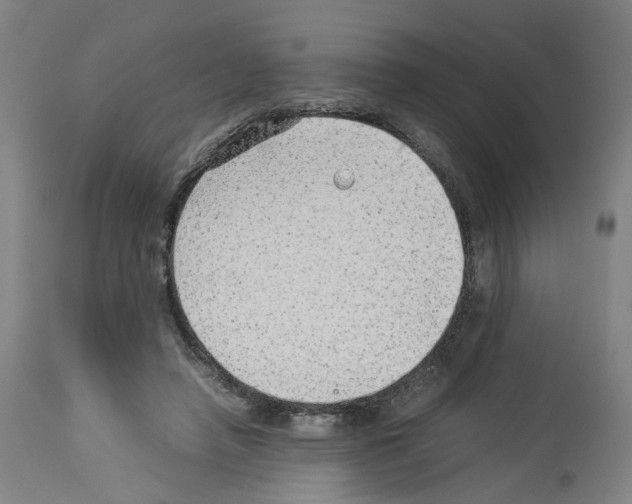X0000114010450200911131208