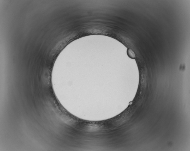 X0000114010453200911131208