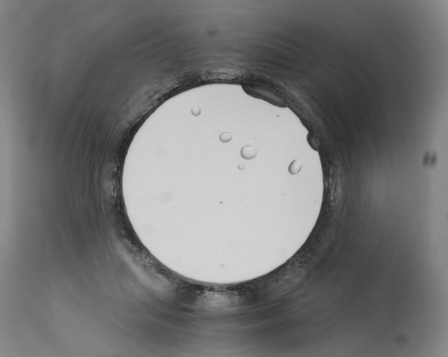 X0000114010455200911131208