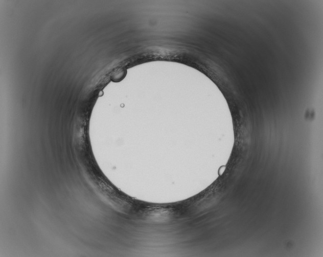 X0000114010456200911131208
