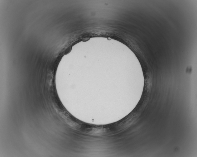 X0000114010458200911131208