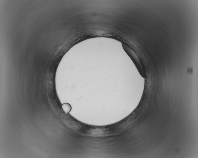 X0000114010461200911131208