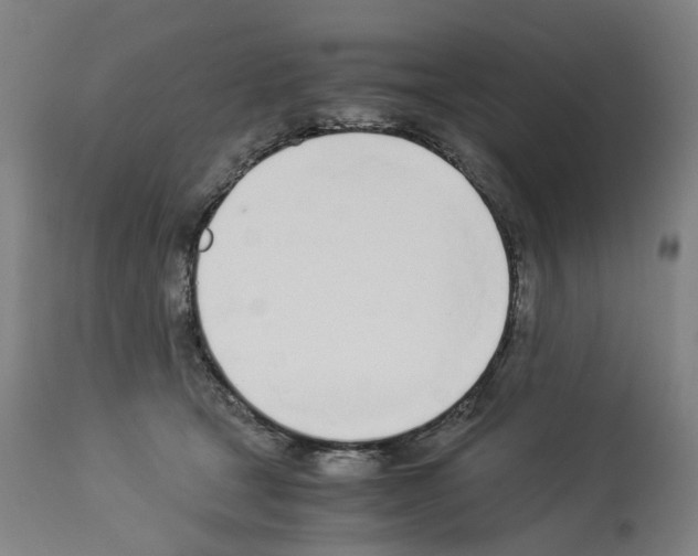 X0000114010465200911131208