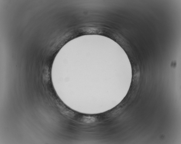 X0000114010469200911131208