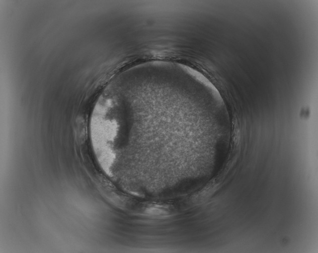 X0000114010471200911131208