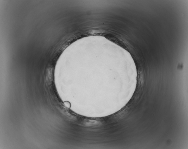 X0000114010475200911131208