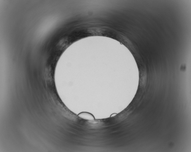 X0000114010477200911131208