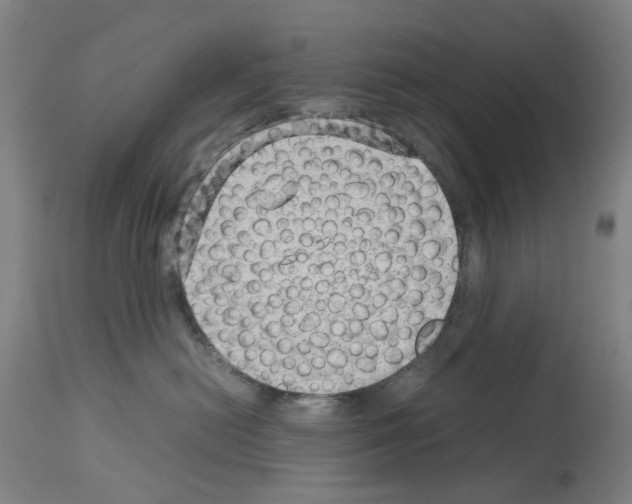 X0000114010478200911131208