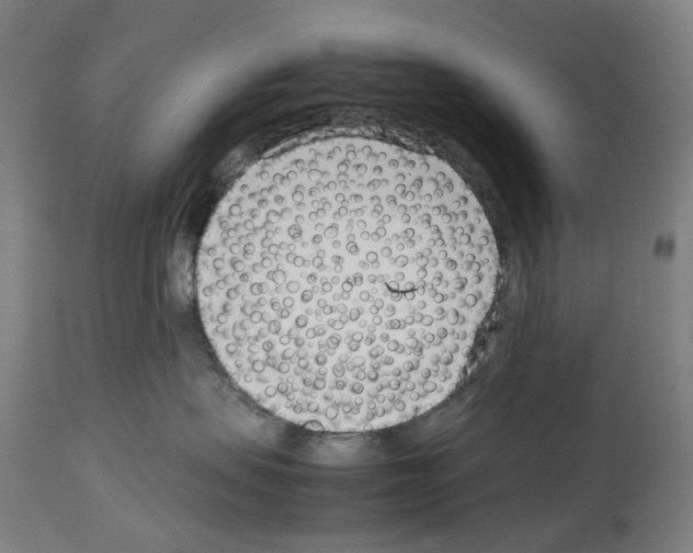 X0000114010479200911131208