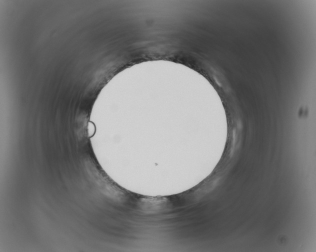 X0000114010480200911131208