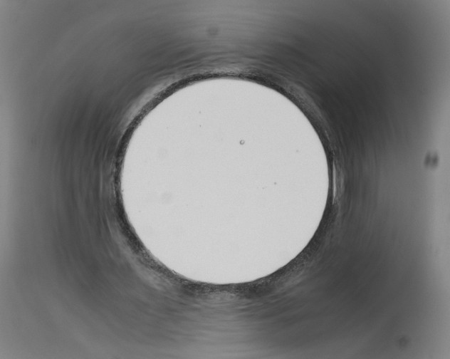 X0000114010483200911131208