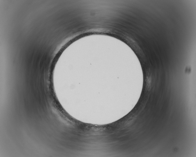 X0000114010484200911131208