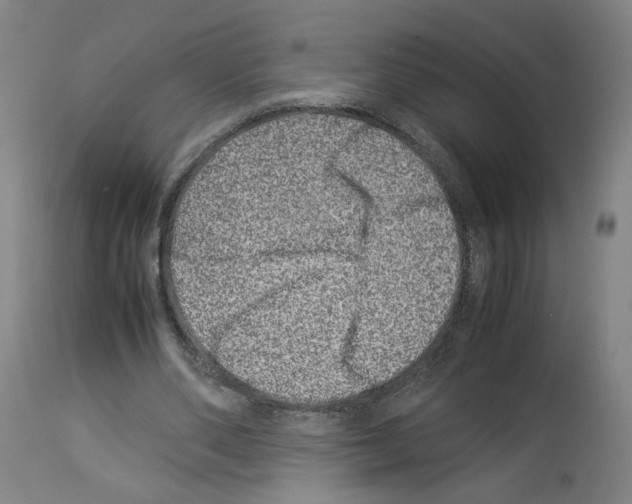 X0000114010486200911131208