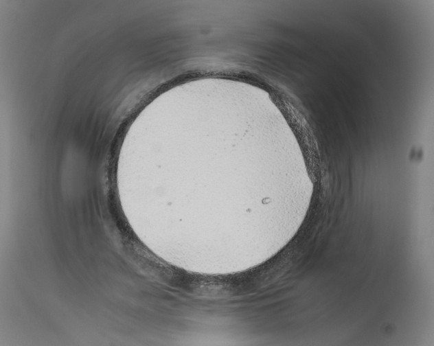 X0000114010487200911131208
