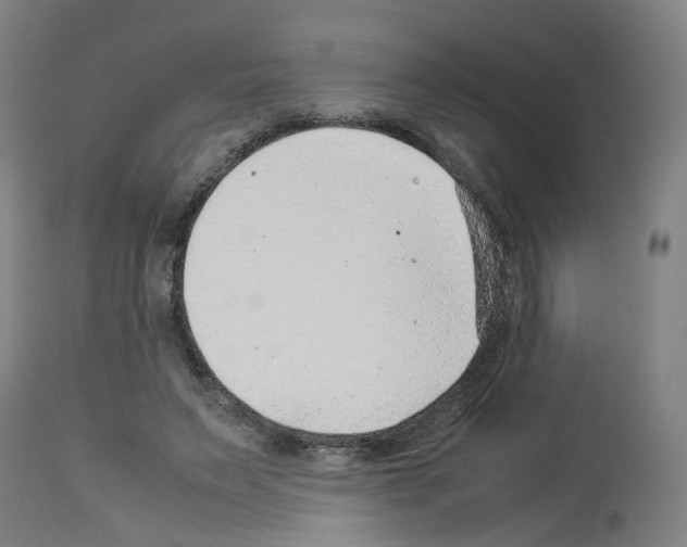 X0000114010495200911131208