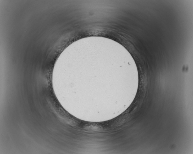 X0000114010503200911131207