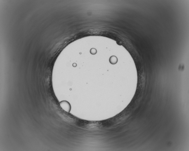 X0000114010505200911131207