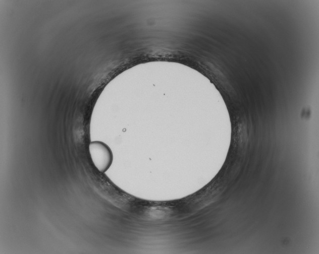 X0000114010508200911131207