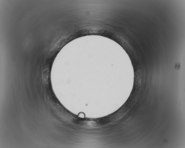 X0000114010509200911131207