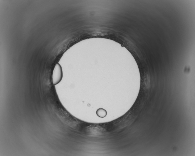 X0000114010512200911131207