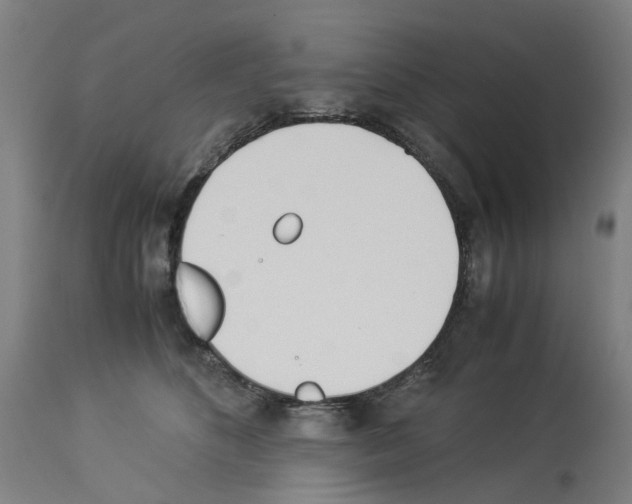 X0000114010516200911131207