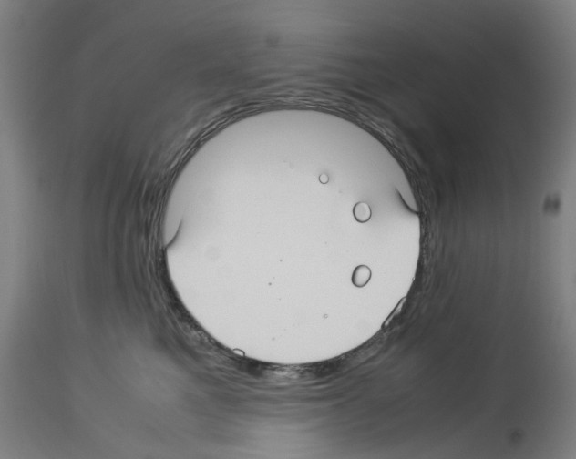 X0000114010521200911131207
