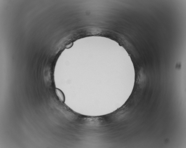 X0000114010524200911131207