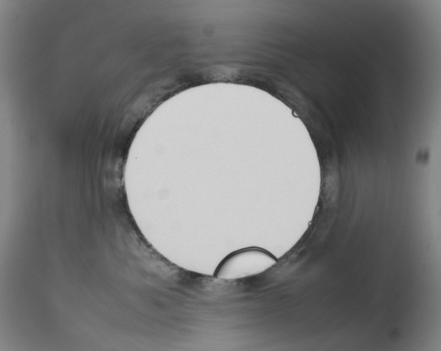 X0000114010525200911131207