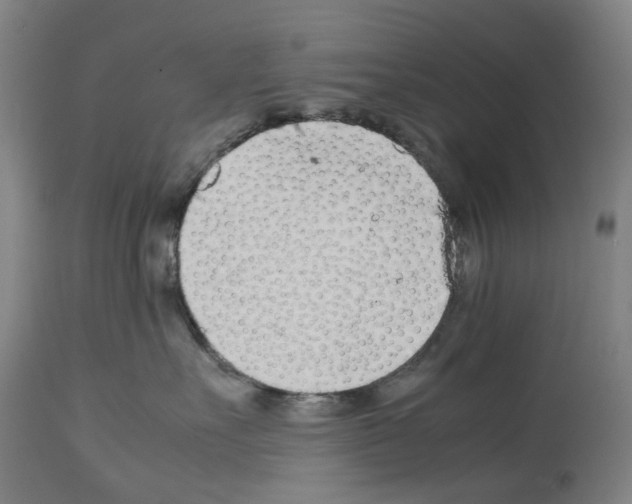X0000114010527200911131207