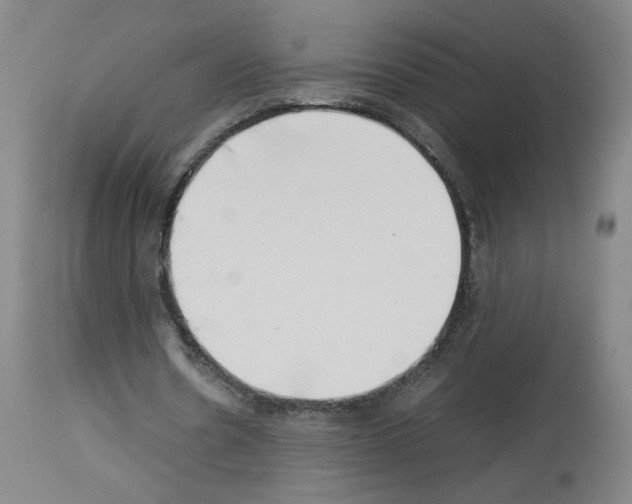 X0000114010530200911131206