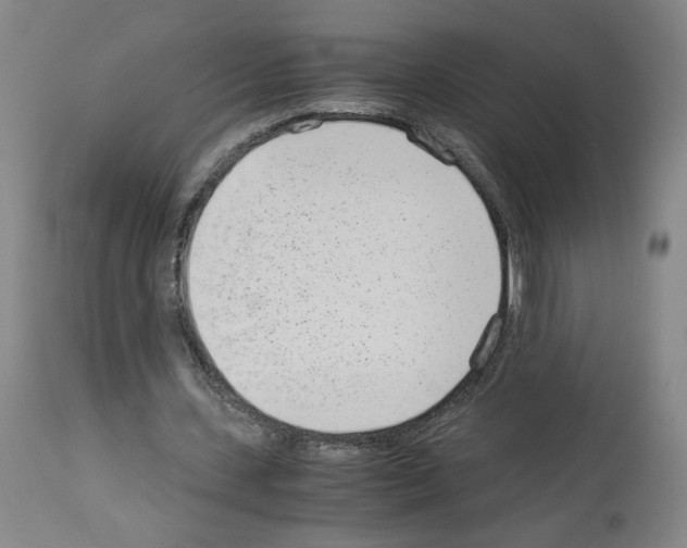 X0000114010531200911131206