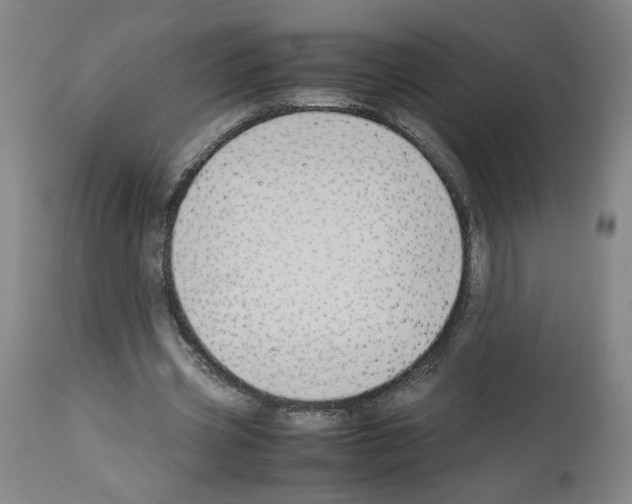X0000114010533200911131206