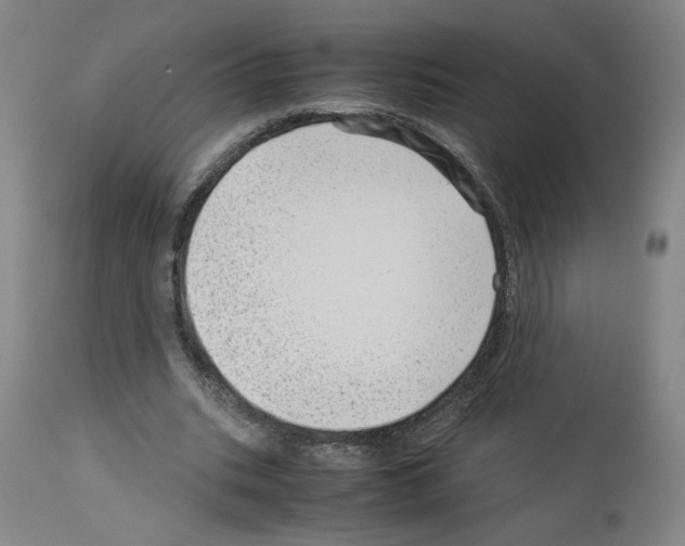 X0000114010535200911131206