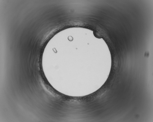X0000114010538200911131206