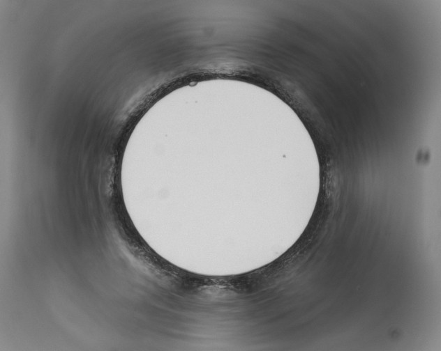 X0000114010544200911131206