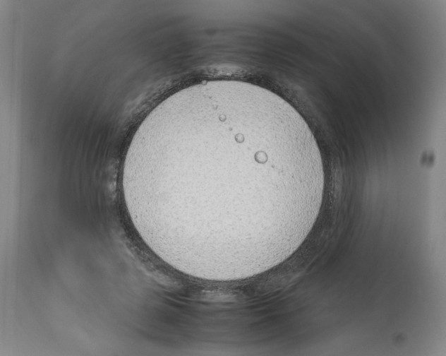 X0000114010545200911131207