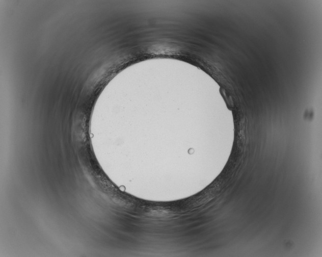 X0000114010547200911131207