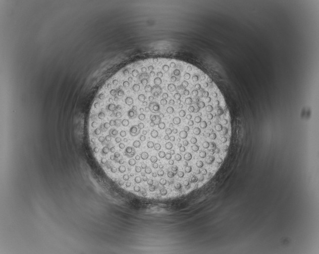 X0000114010550200911131207