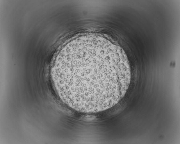 X0000114010554200911131207